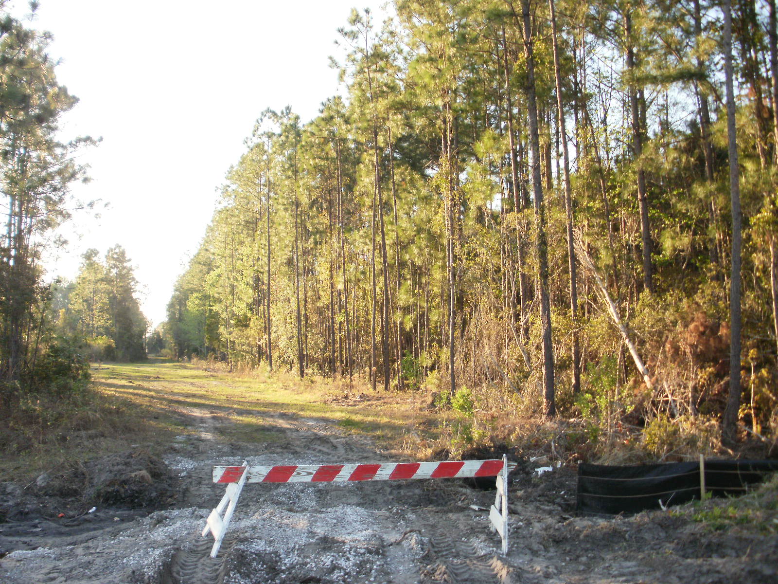 18 Acres of Land Camden